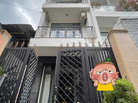 NHÀ ÂU DƯƠNG LÂN P3 Q8