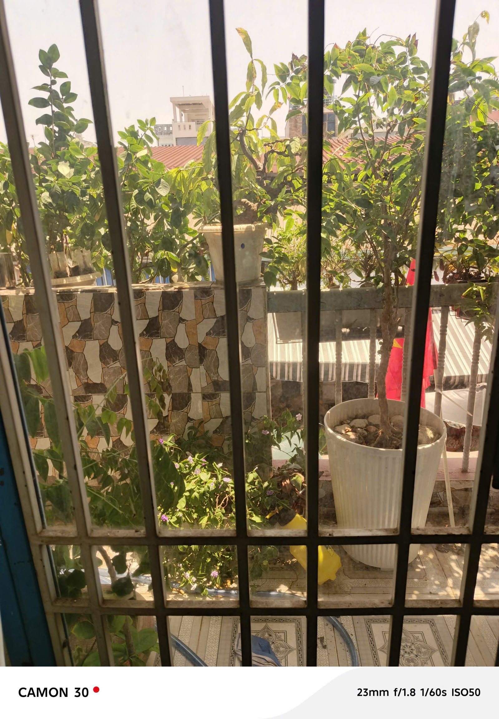 z7632335608024_c7e70d67ae21456c300d696ad9096a70