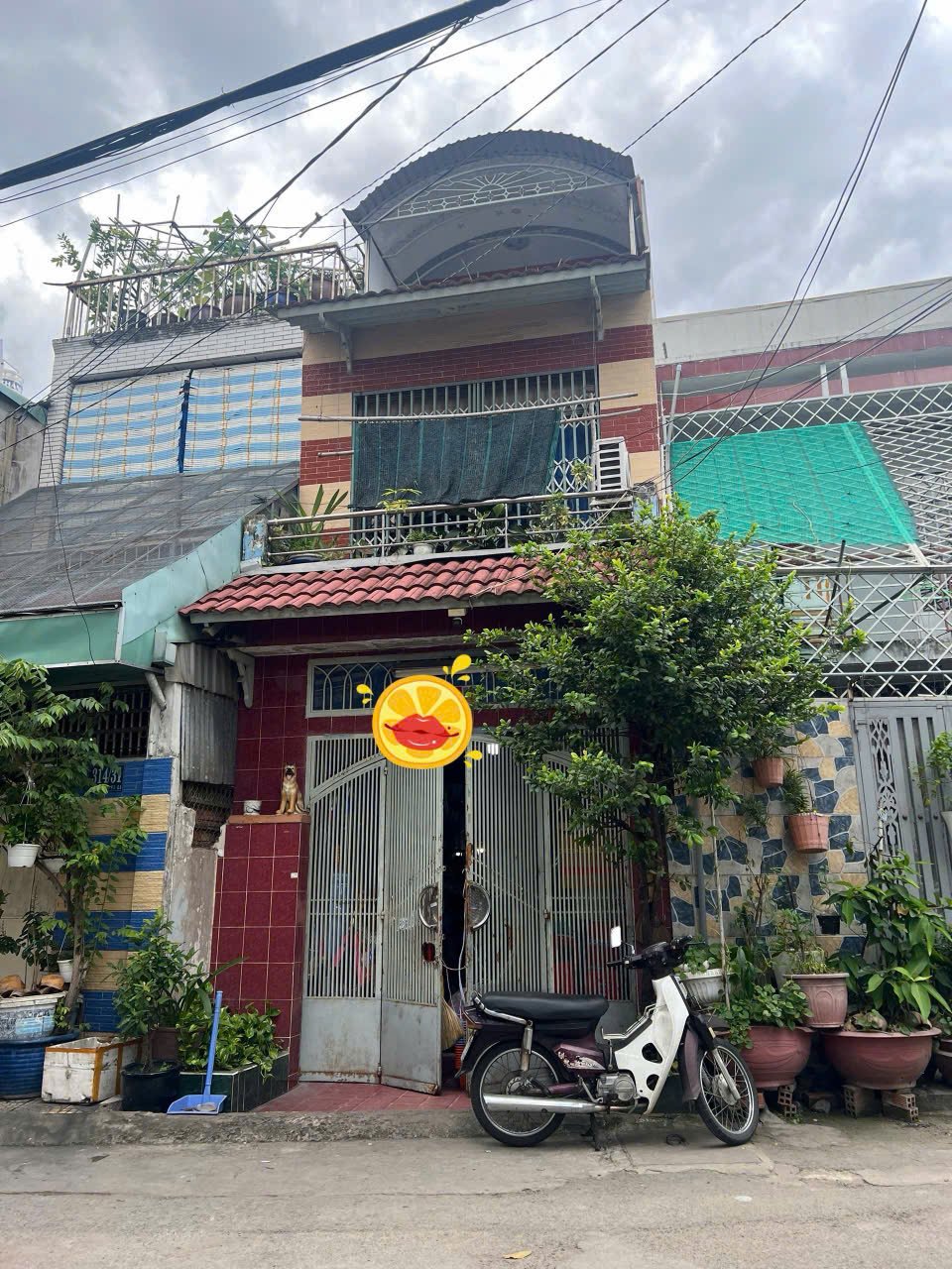 NHÀ ÂU DƯƠNG LÂN P3 Q8