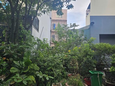 ĐẤT NỀN XÃ PHONG PHÚ BÌNH CHÁNH