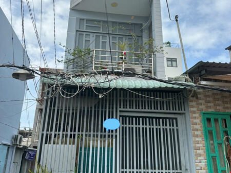 MT Ụ CÂY P10 Q8